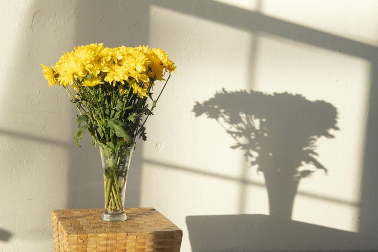 Margueritter i buketter og dekorationer